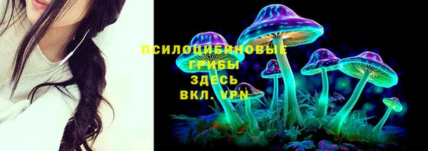 прущие крисы Баксан