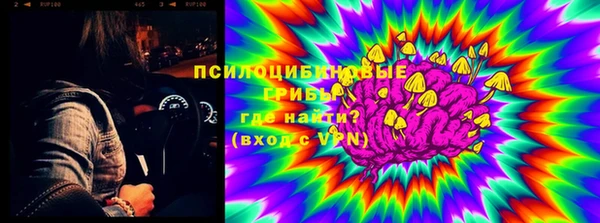 прущие крисы Баксан