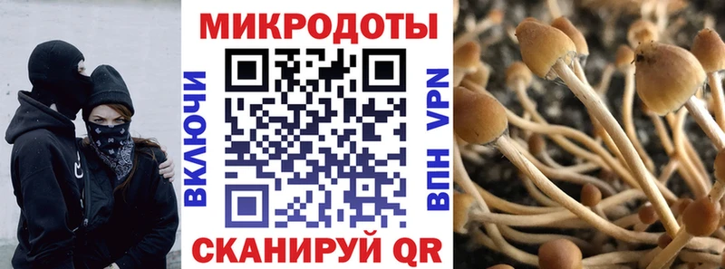 Псилоцибиновые грибы мицелий  Горнозаводск 